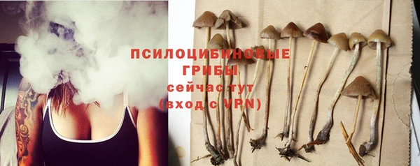 стаф Михайлов