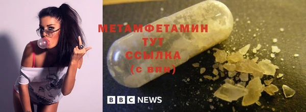 гидра Туринск