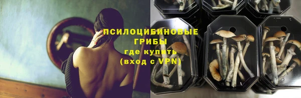 амф Верея
