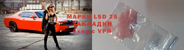 стаф Михайлов