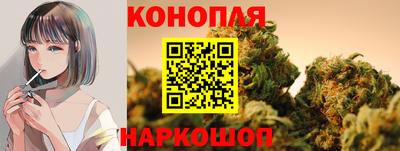 a pvp Заводоуковск