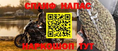 прущие грибы Жуковский