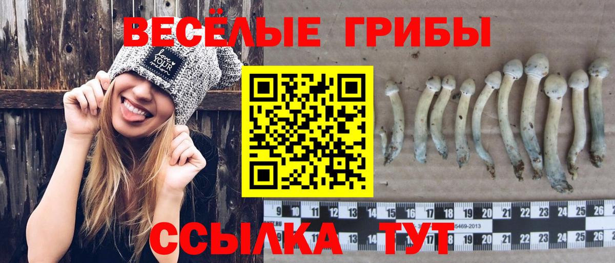 Псилоцибиновые грибы MAGIC MUSHROOMS Муром