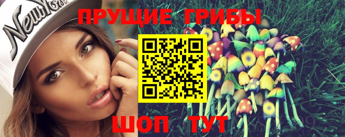 Псилоцибиновые грибы ЛСД  Псилоцибиновые грибы ЛСД  Муром  Вход с VPN 