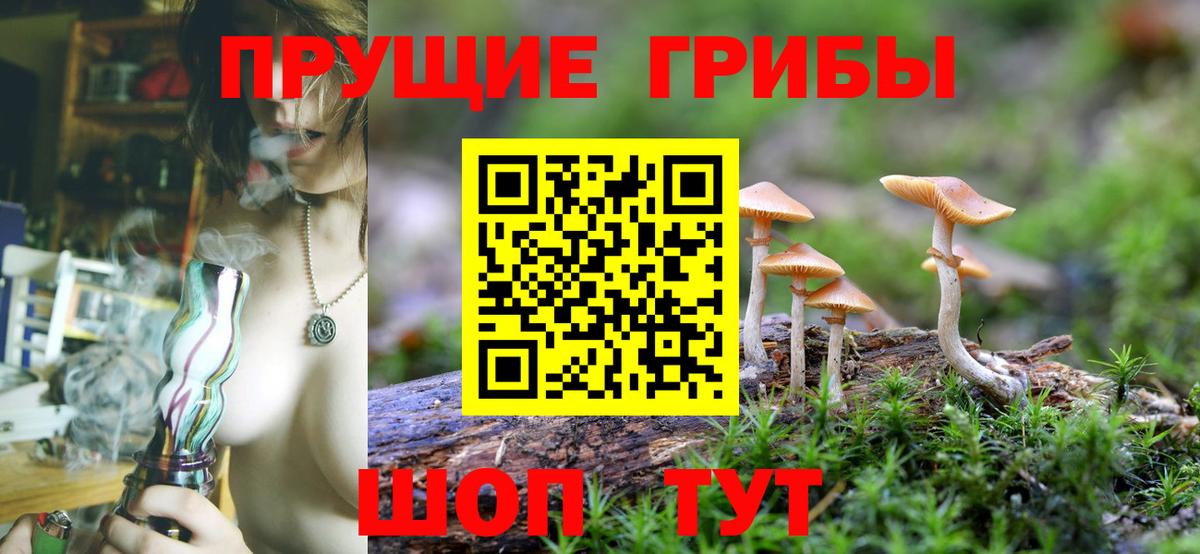 Псилоцибиновые грибы мицелий  Муром 